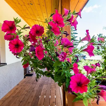 Appartement Oaza Spokoju Na Pasiece Polanica-Zdrój